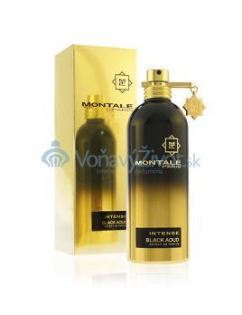 Montale Intense Black Aoud parfémovaná voda 100 ml Unisex