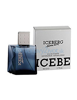 Iceberg Homme M EDT 100ml