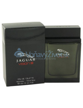 Jaguar Vision III Eau De Toilette 100 ml (man)