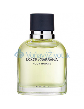 Dolce & Gabbana Pour Homme M EDT 125ml TESTER