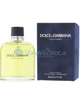 Dolce & Gabbana Pour Homme Toaletná voda 200ml M