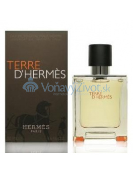 Hermes Terre D Hermes M EDT 200ml