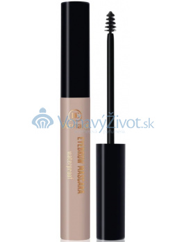Dermacol Waterproof Eyebrow Mascara 4,5ml - 1