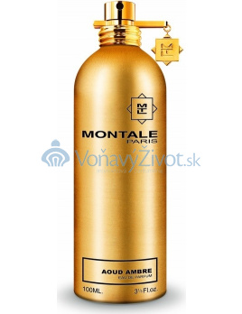 Montale Paris Aoud Ambre Parfémovaná voda 100ml U