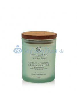 Chesapeake Bay Balance + Harmony vonná svíčka 250 g