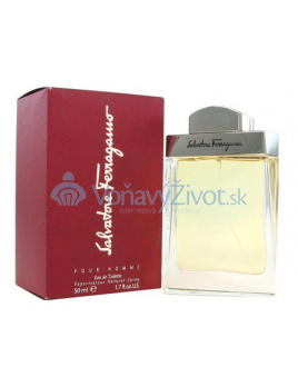 Salvatore Ferragamo Pour Homme Toaletná voda 100ml M