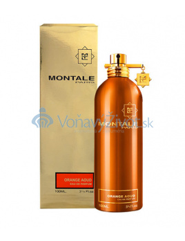 Montale Paris Aoud Orange Parfémovaná voda 100ml U