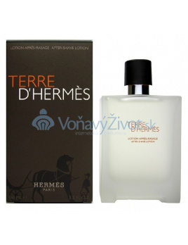 Hermes Terre D Hermes M AS 100ml