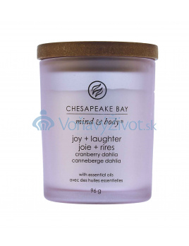 Chesapeake Bay Joy + Laughter vonná svíčka 250 g