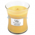 WoodWick dekorativní váza Seaside Memosa 275g