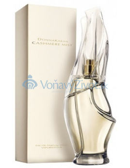 DKNY Cashmere Mist W EDP 100ml
