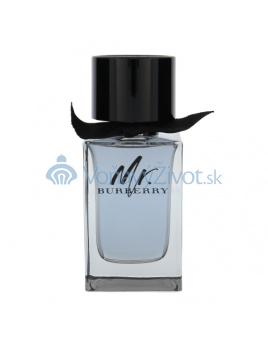 Burberry Mr. Burberry M EDT 100ml