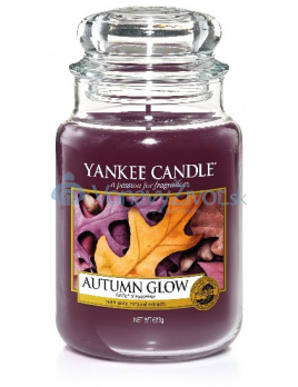Yankee Candle 623g Autumn Glow