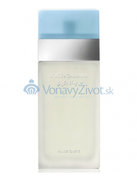 Dolce Gabbana Light Blue W EDT 100ml TESTER