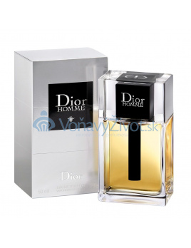 Dior Dior Homme 2020 toaletní voda Pro muže 100ml