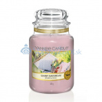 Yankee Candle gélová visačka do auta Sunny Daydream