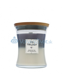 WoodWick Trilogy Amethyst Sky vonná svíčka s dřevěným knotem 453,6 g