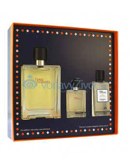 Hermes Terre D´Hermes toaletní voda pro muže 100 ml + 80 ml dárková sada