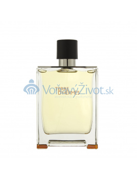 Hermes Terre D Hermes M EDT 200ml TESTER