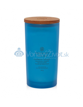 Chesapeake Bay Reflection + Clarity vonná svíčka 250 g