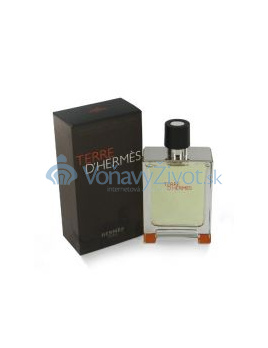 Hermes Terre D Hermes M EDT 100ml