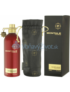 Montale Paris Sliver Aoud Parfémovaná voda 100ml M